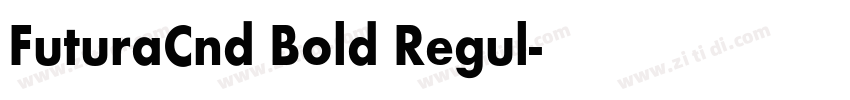 FuturaCnd Bold Regul字体转换